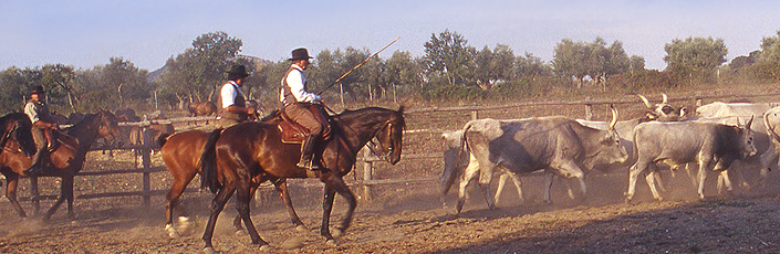 Poggio Bello 4